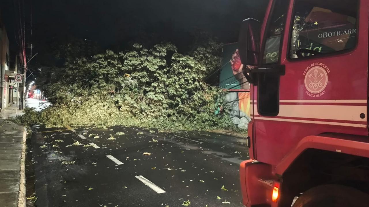 Foto 15 de 67 — TEMPORAL EM FOTOS: veja imagens de destruição em Araraquara
